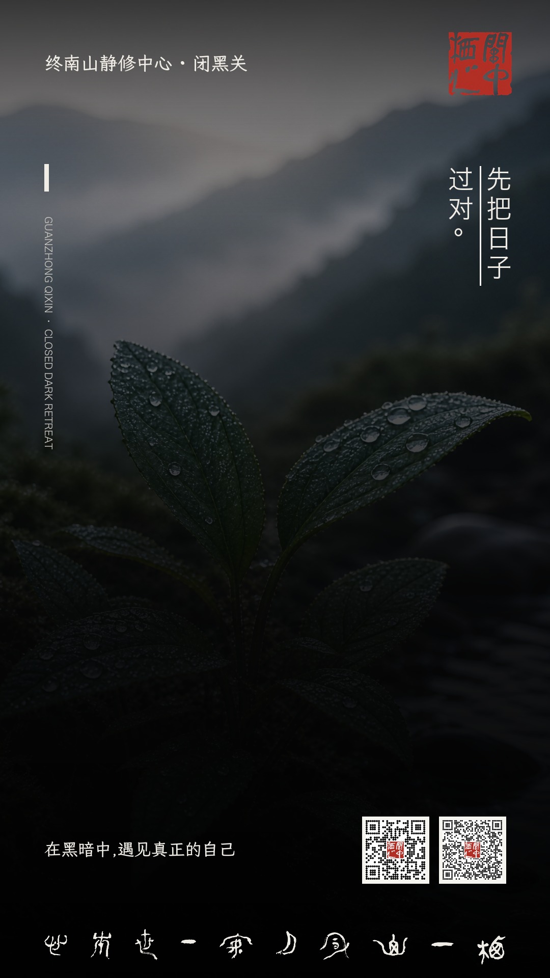 每日金句